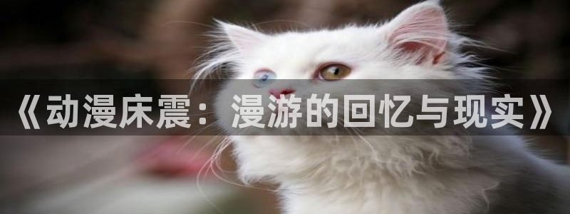 嘿咻漫画s：《动漫床震：漫游的回忆与现实》