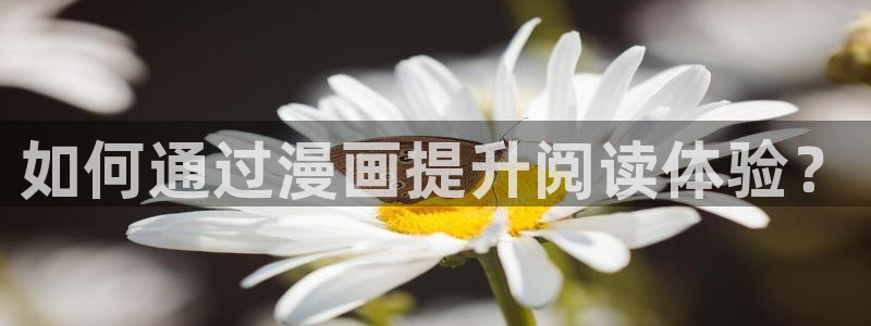 嘿咻漫画免费观看入口：如何通过漫画提升阅读体验？